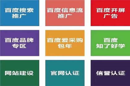 提升转化率：SEM竞价专员的案例研究